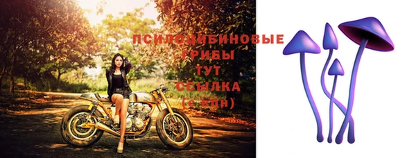 не бодяженный Алексин
