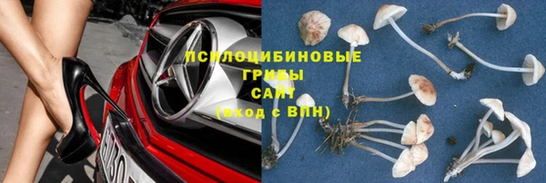 бошки Алексеевка