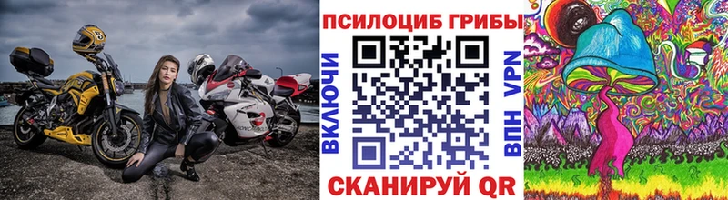 Псилоцибиновые грибы GOLDEN TEACHER Новошахтинск