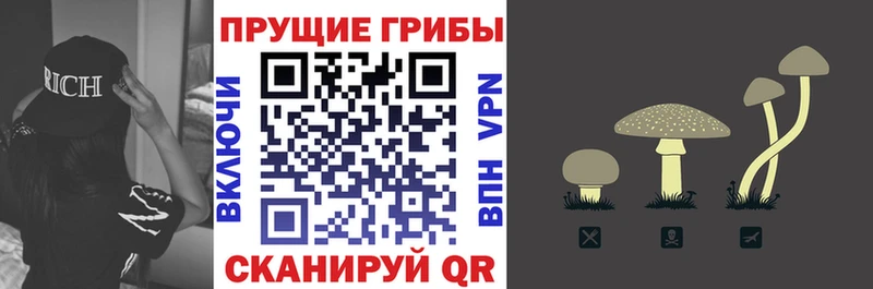 нарко площадка как зайти  Новошахтинск  Псилоцибиновые грибы MAGIC MUSHROOMS  даркнет сайт 